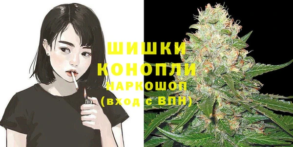 молекула духа Лагань