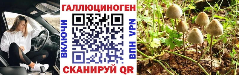 Псилоцибиновые грибы мухоморы  Никольск 